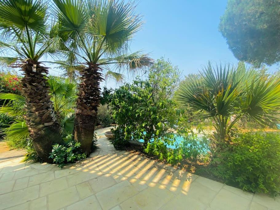 Atlantide - Somptueuse Villa Classee 4 Etoiles - Saint-Clair - Vue Exceptionnelle - Piscine Сет Екстер'єр фото